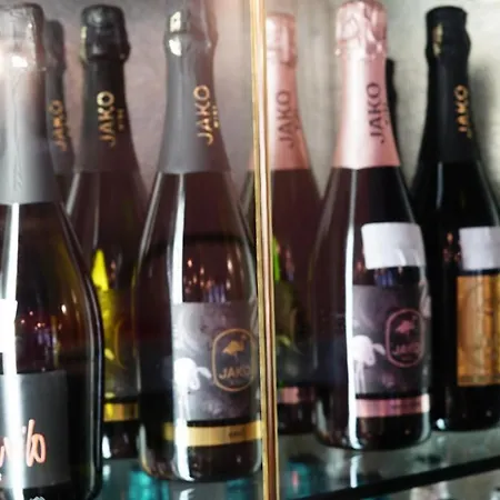 Nuovo Sole Hns ホテル Bovolone